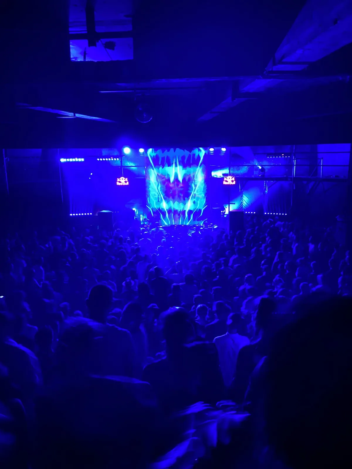 Blue-lit crowd at a Garden of Dreams event